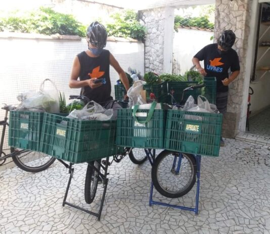 Transição para a economia solidária: conhecer, praticar e transformar