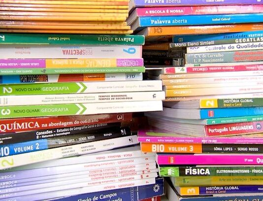 Governo Bolsonaro retira menção à violência contra mulher de livros didáticos infantis