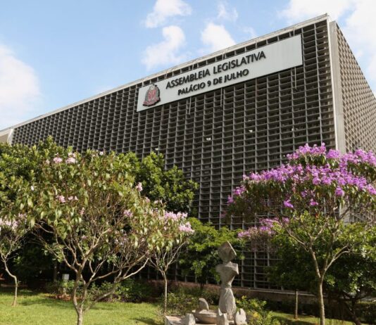 Assembleia Legislativa de São Paulo aprova auxílio emergencial de até R$ 500 durante pandemia