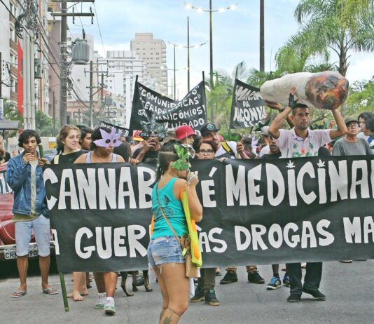 Articulação nacional promove reflexão no Dia Mundial da Maconha