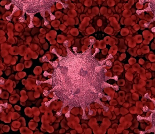 Cientistas detectam nova variante do coronavírus potencialmente perigosa em Belo Horizonte