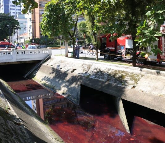 Carrefour é intimado por provocar vazamento de óleo diesel no Canal 6 em Santos