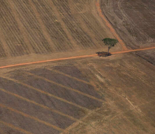 Organizações condenam aprovação de projeto que destrói legislação ambiental: retrocesso