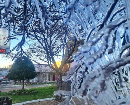Vídeos: Neve cai no Paraná e em Santa Catarina, que registra -8º C, com sensação de -20º C