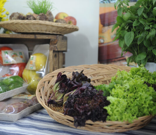 Prefeitura de Santos sanciona lei para inclusão de alimentos orgânicos na merenda escolar
