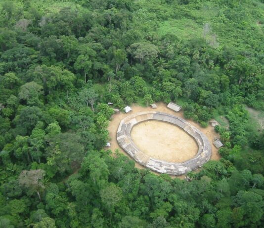 Vacinas destinadas à Terra Yanomami foram trocadas por ouro, denunciam lideranças indígenas