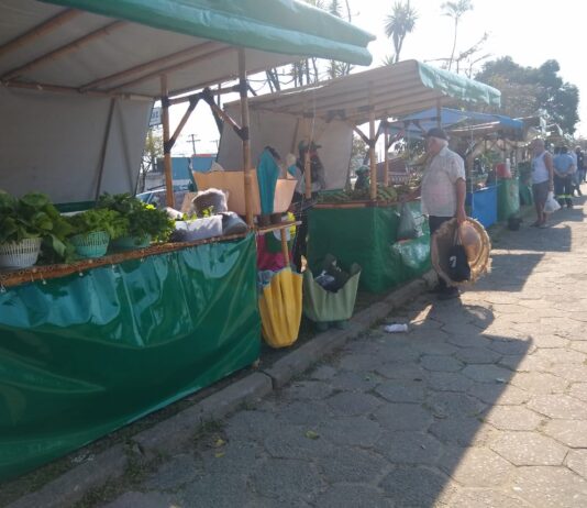 Economia solidária para viabilizar atividades econômicas individuais, familiares e associativas