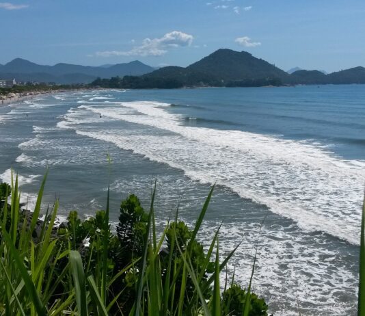 Litoral registra segundo ataque de tubarão em um mês; desta vez, vítima é uma idosa