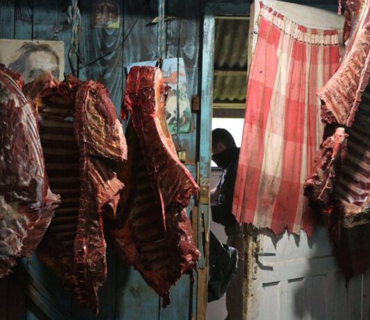 Grupo suspeito de vender carne de cavalo para restaurantes é preso em Caxias do Sul