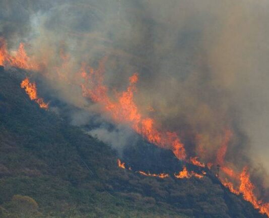 COP26: Política predatória de Bolsonaro faz Brasil cair 8 posições em índice de mudanças climáticas