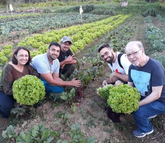 Câmara Municipal de Santos aprova Política de Fomento à Economia Solidária