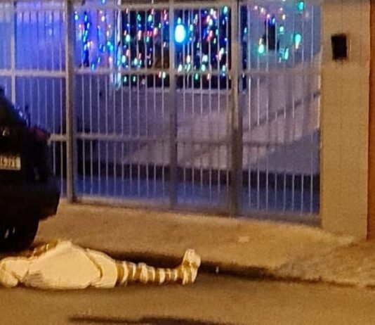 Mistério: Polícia ainda não sabe quem é a “múmia” deixada em rua de Santos