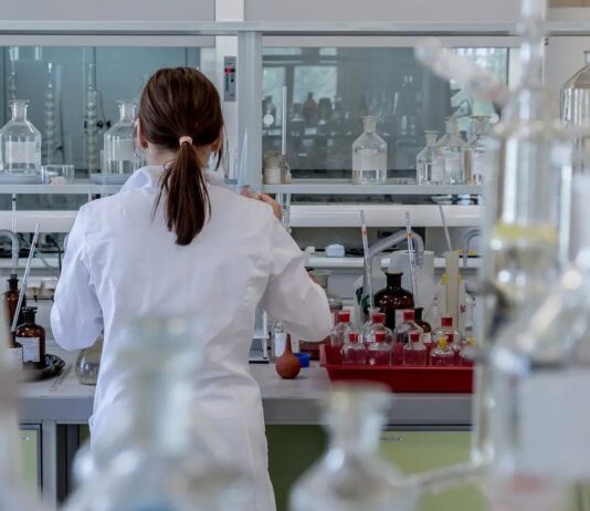 Candida auris: Anvisa confirma terceiro caso e alerta para surto de “superfungo” no Brasil