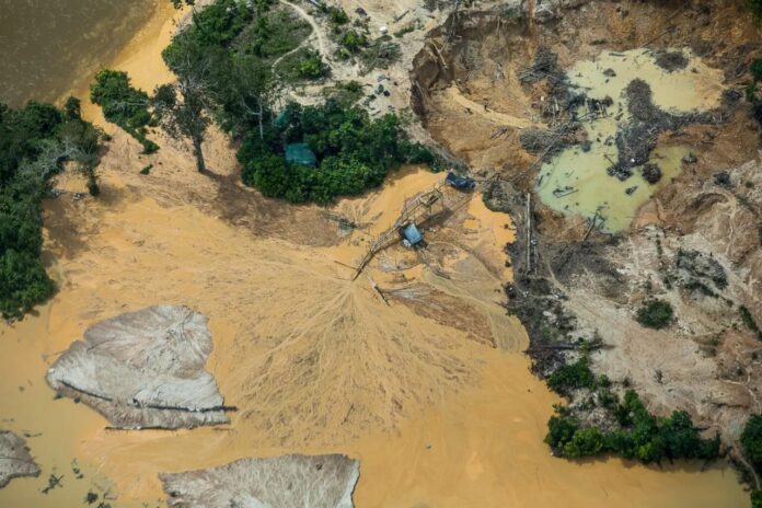Amazônia