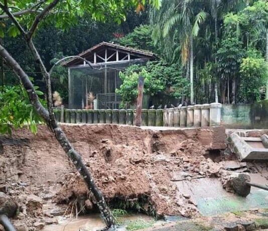 Deslizamento de terra atinge instalações onde vive hipopótamo no Horto de SV