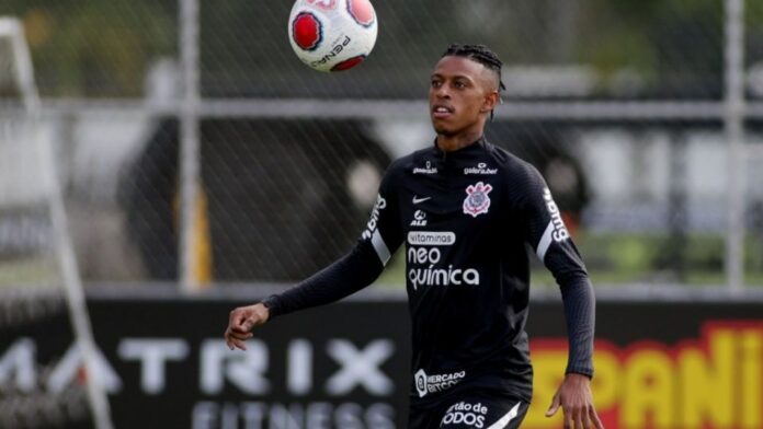 Robson Bambu