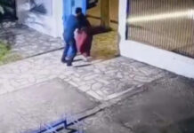 Tragédia: Diretora de escola esfaqueada por aluno no litoral norte segue internada