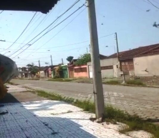 Nuvem com milhares de marimbondos assusta moradores do bairro Flórida Mirim em Mongaguá
