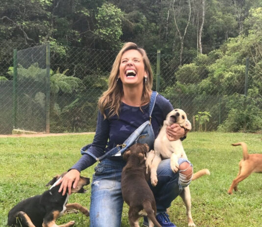 Ativista e defensora dos animais, Luisa Mell vem a Santos para participar de feira de adoção