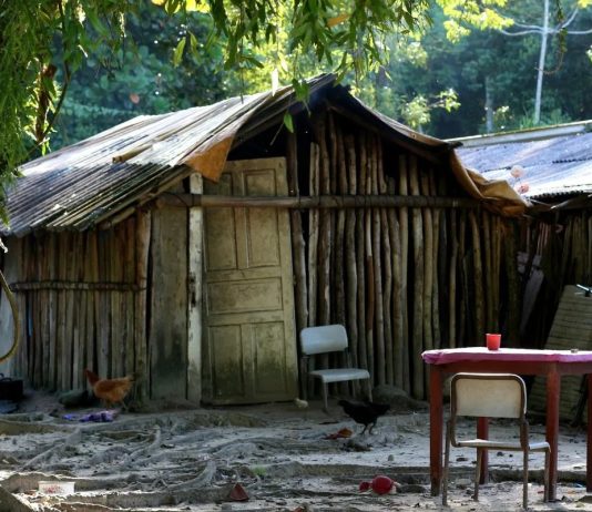 Suspeito de estuprar menina indígena de 5 anos em aldeia se entrega à polícia