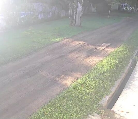 VÍDEO: Tremores de terra com magnitude 4,9 são registrados no litoral e no interior de São Paulo
