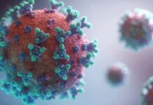 Alerta: Brasil enfrenta nova onda de Covid-19 que pode durar até seis semanas