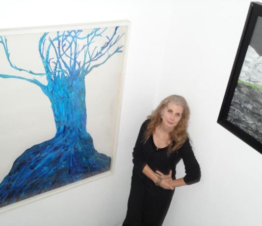 Arte na Pinacoteca oferece mais uma exposição inédita e gratuita para a Baixada