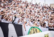 Santos x Cruzeiro: Onde assistir, horário e como estão as equipes para a partida